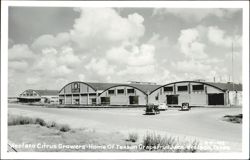 Weslaco Citrus Growers - Home Of Texsun Grapefruit Juice Postcard