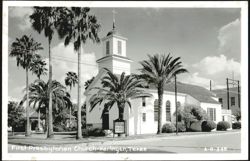 First Presbyterian Church Building with Palm Trees Postcard