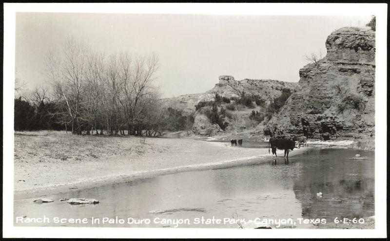 Ranch Scene In Palo Duro Canyon State Park Texas