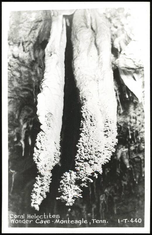 Coral Helectites in Wonder Cave Monteagle Tennessee