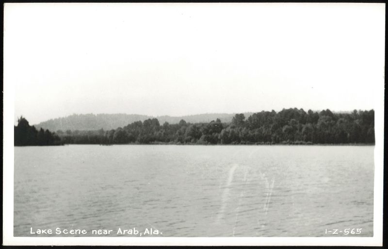 Lake Scene near Arab, Ala. Alabama