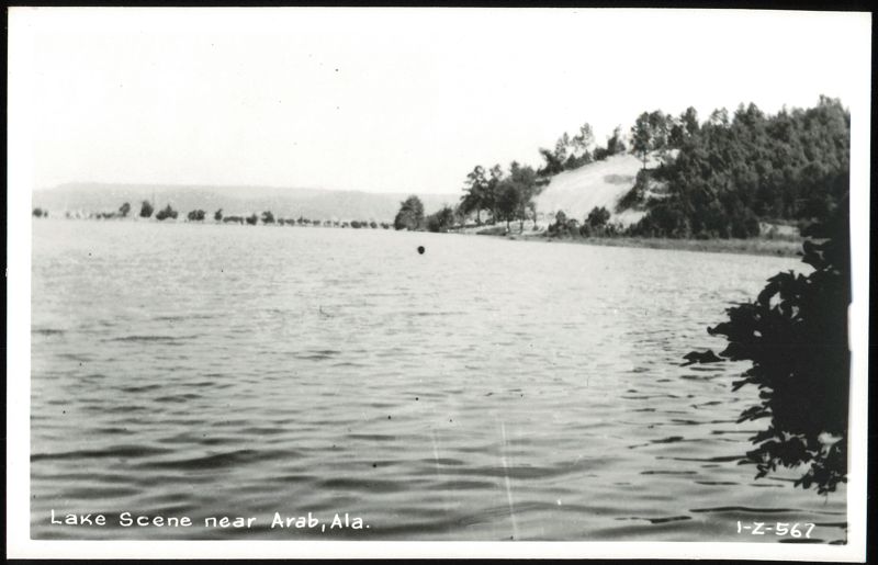 Lake Scene near Arab, AL Alabama