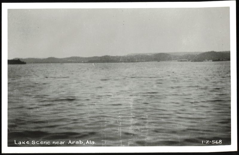 Lake Scene near Arab, Alabama