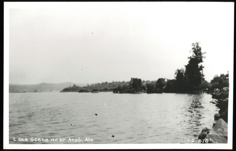 Lake Scene near Arab, Alabama