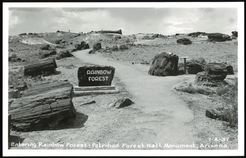 Entering Rainbow Forest, Petrified Forest National Monument Arizona