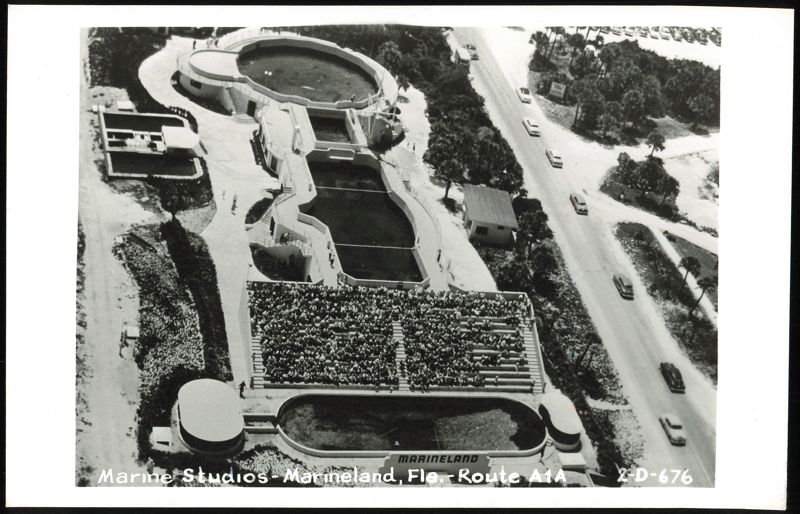 Aerial View of Marine Studios, Marineland, Florida