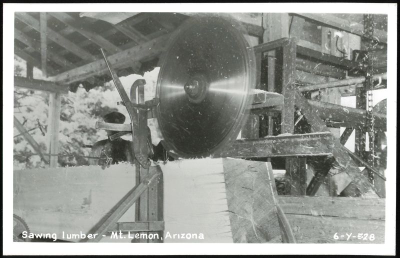 Sawing lumber Mt. Lemon Arizona