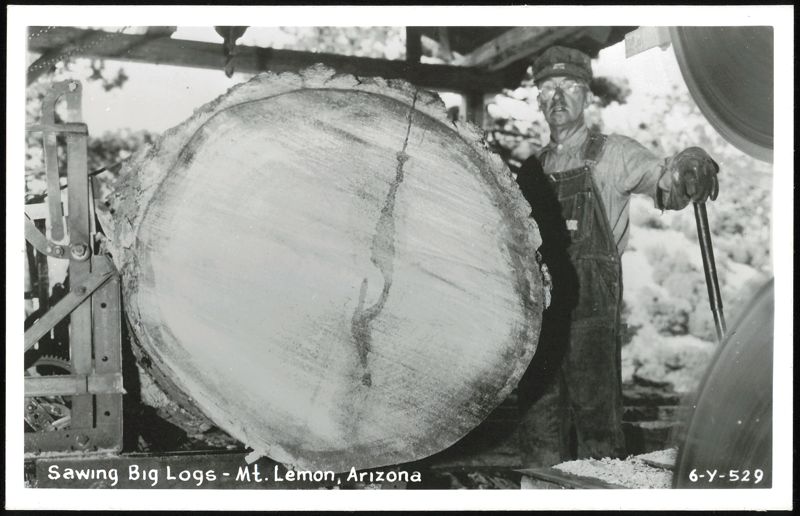 Sawing Big Logs with Man at Sawmill, Mt. Lemon Arizona