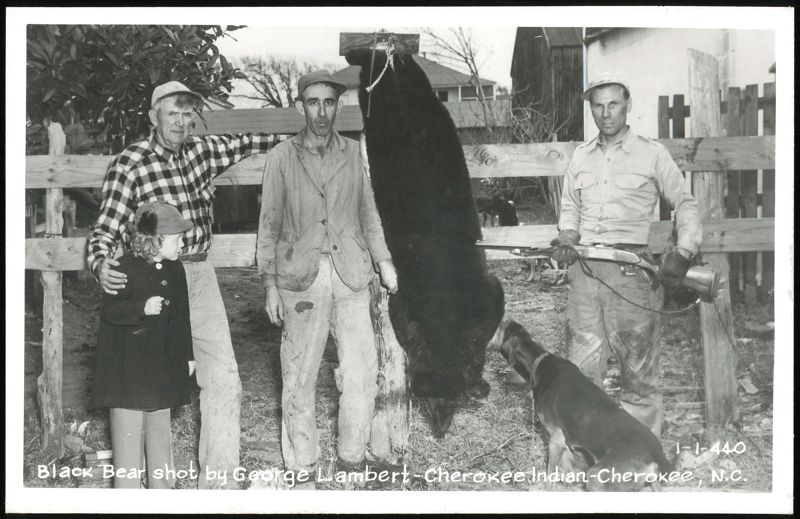 Black Bear shot by George Lambert - Cherokee Indian North Carolina