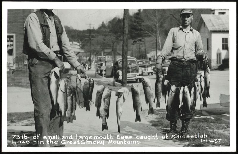 73 lb. Small and Large Mouth Bass from Santeetlah Lake Robbinsville North Carolina