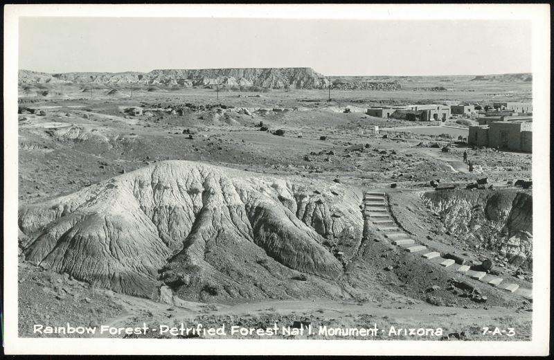 Rainbow Forest - Petrified Forest Nat'l. Monument Arizona