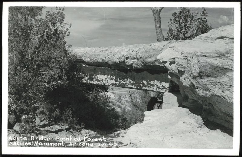 Agate Bridge - Petrified Forest National Monument Arizona