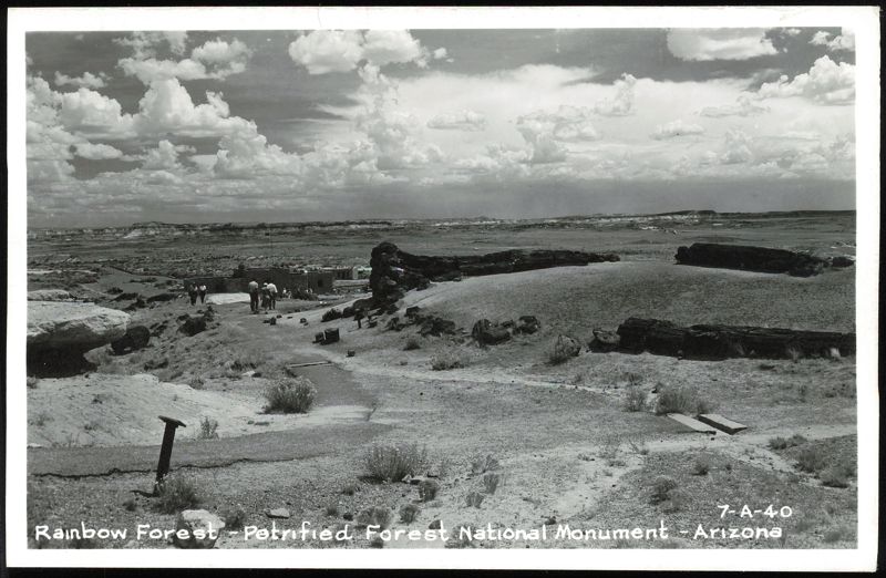 Rainbow Forest - Petrified Forest National Monument Arizona