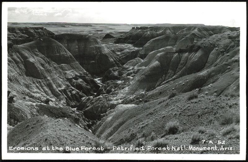Erosions at the Blue Forest - Petrified Forest Natl Monument Arizona