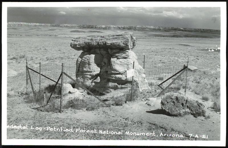 Pedestal Log - Petrified Forest National Monument Arizona