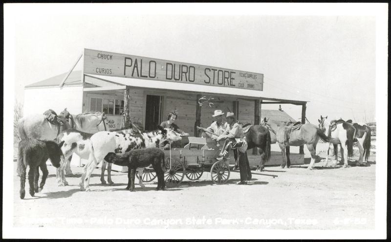 Palo Duro Store with Horses, Donkeys, and Wagon Canyon Texas