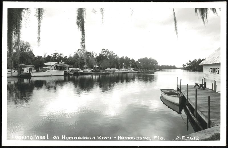 Looking West on Homosassa River with Boats and Docks Florida