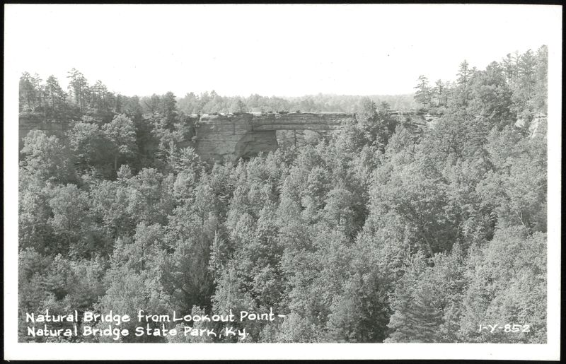 Natural Bridge from Lookout Point Kentucky