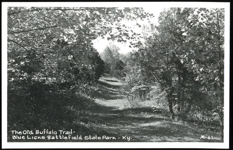 The Old Buffalo Trail, Blue Licks Battlefield State Park Carlisle Kentucky