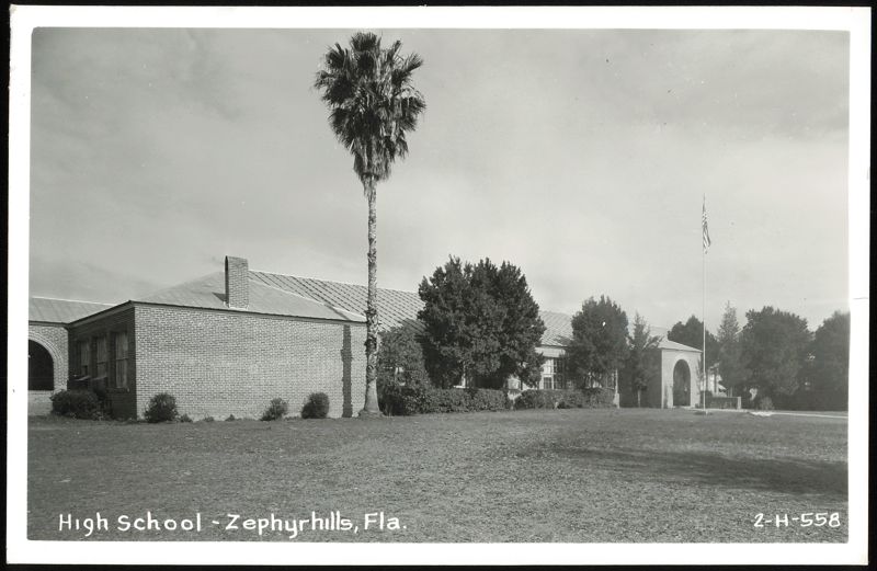 High School Building with Palm Tree and Flagpole Zephyrhills Florida