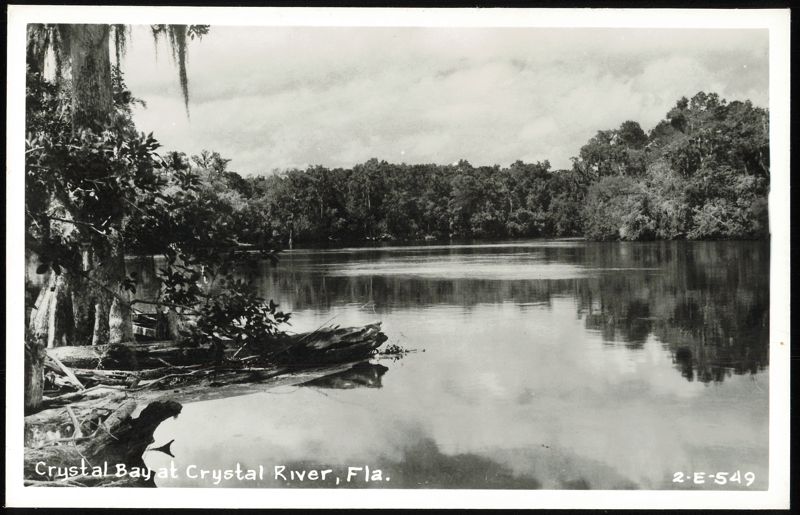 Crystal Bay at Crystal River, Florida