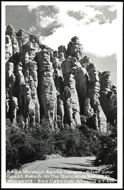 Road through Bonito Canyon, Silver Spur Guest Ranch, Chiricahua National Monument Dos Cabezas Arizona