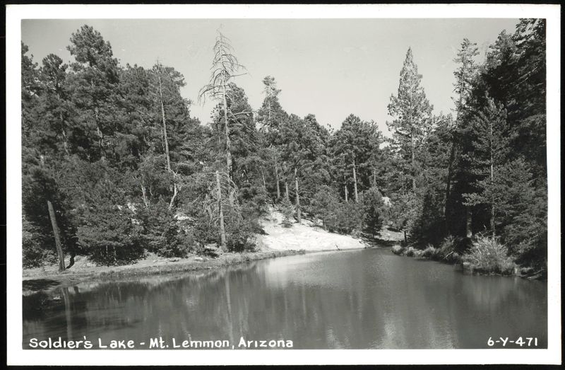 Soldier's Lake, Mt. Lemmon, Arizona - Pine Forest Landscape Mount Lemmon
