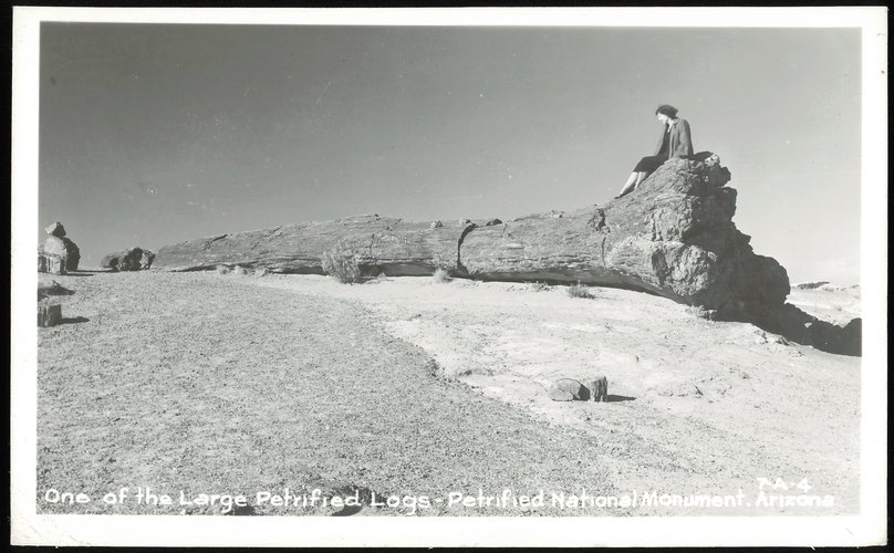 One of the Large Petrified Logs - Petrified National Monument Holbrook Arizona