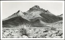 Stock #1189342 Thumbnail