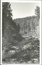 Mountain Stream Near Hollywood Postcard