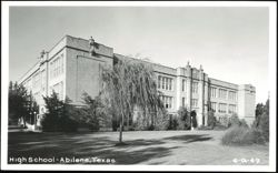 High School Building with Weeping Willow Tree Postcard