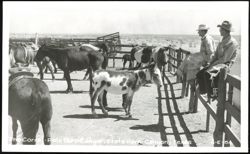 Stock #1189562 Thumbnail