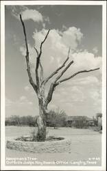 Hangman's Tree - Outside Judge Roy Bean's Office Postcard
