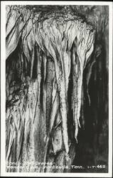 Conch Shell Drapes - Wonder Cave Postcard