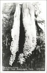 Coral Helectites in Wonder Cave Postcard