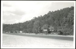 Martin Springs Tourist Camp with Cabins Postcard