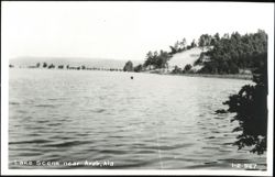 Lake Scene near Arab, AL Postcard