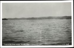 Lake Scene near Arab, Alabama Postcard