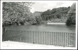 The Lake at Natural Bridge State Park Postcard