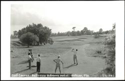 Golf Course - Belleview Biltmore Hotel Postcard