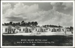 Weeki Wachee Motor Lodge, U.S. 19 at Fla. 50 Postcard