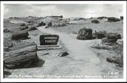 Entering Rainbow Forest, Petrified Forest National Monument Postcard