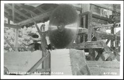 Sawing lumber Postcard