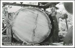 Sawing Big Logs with Man at Sawmill, Mt. Lemon Postcard