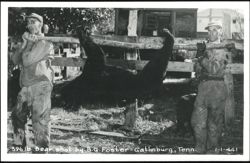 396 lb. Bear Shot by B.G. Foster Postcard