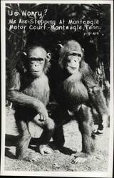 Stock #1189858 Thumbnail