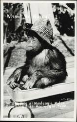 Stock #1189859 Thumbnail