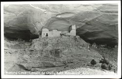 Mummy Cave - Canyon de Chelly National Monument Postcard