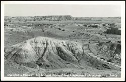 Rainbow Forest - Petrified Forest Nat'l. Monument Postcard