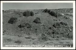 Rainbow Forest - Petrified Forest Nat'l. Monument Postcard